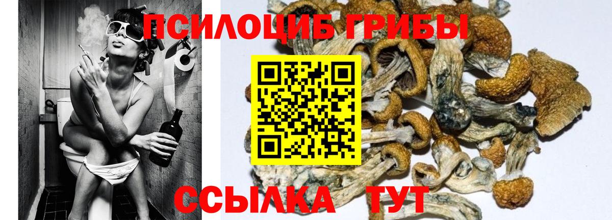 Псилоцибиновые грибы мухоморы Видное